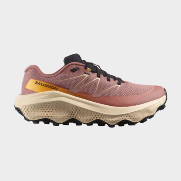Picture of SALOMON ULTRA FLOW 2 GTX W BURLWO/TENDER/W